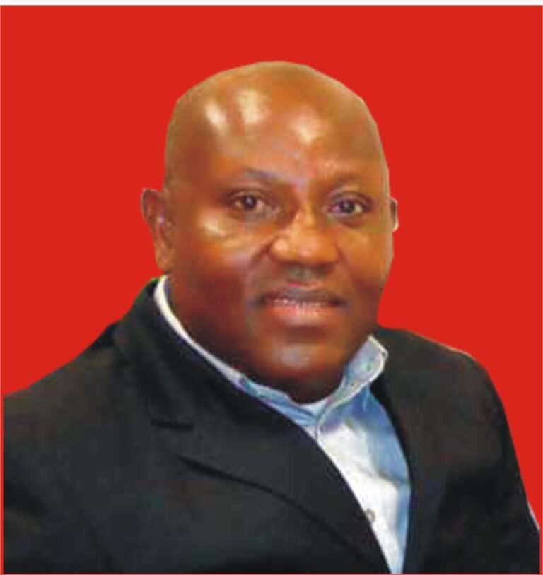 Portrait of Emeka Onodugo